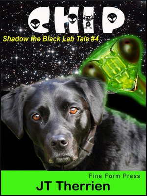 cover image of Chip